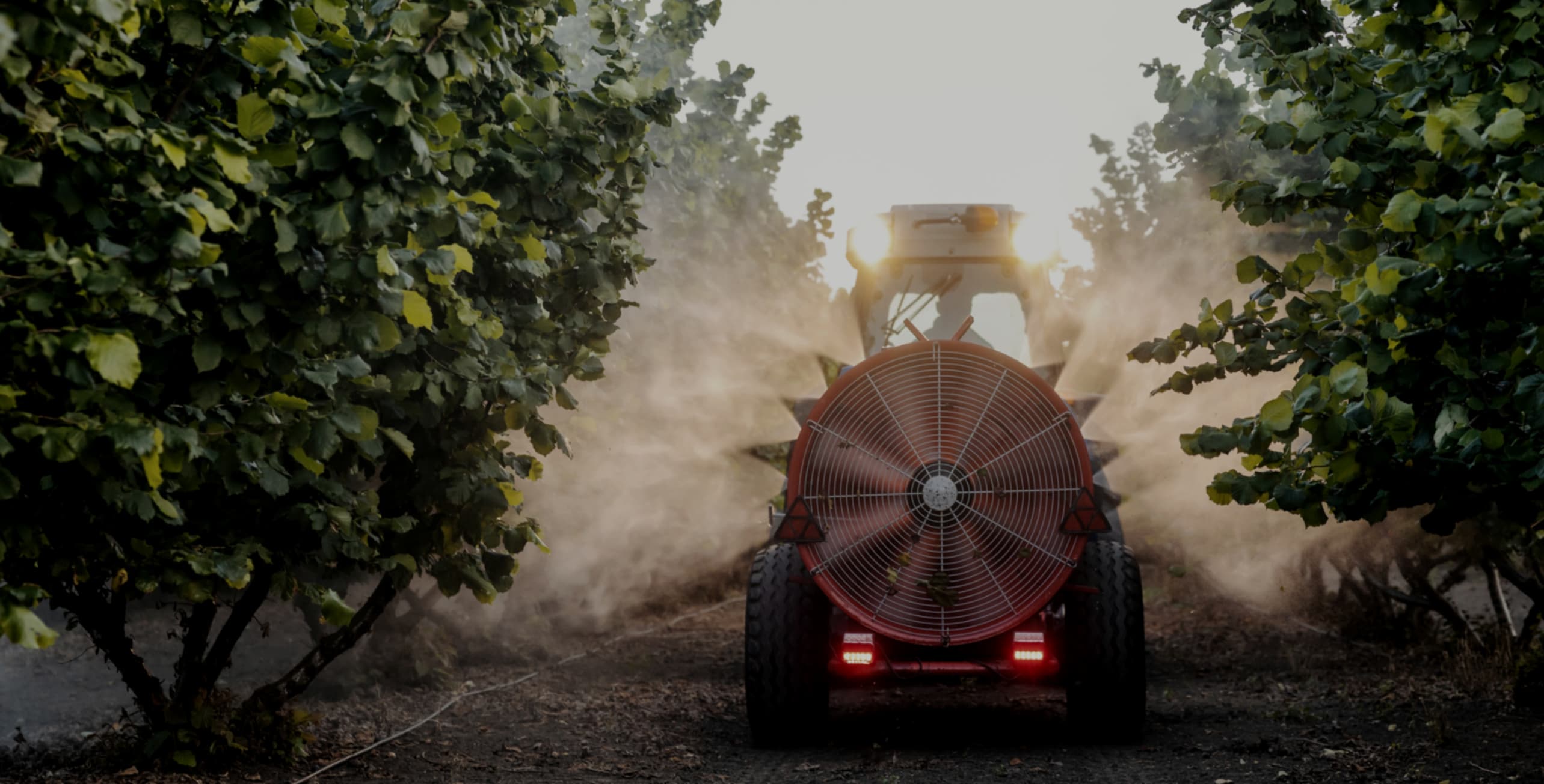 IntelliCulture platform